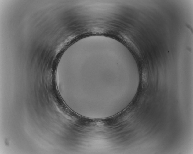 X0000102410492200808221915