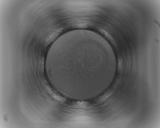 X0000102410493200808221915