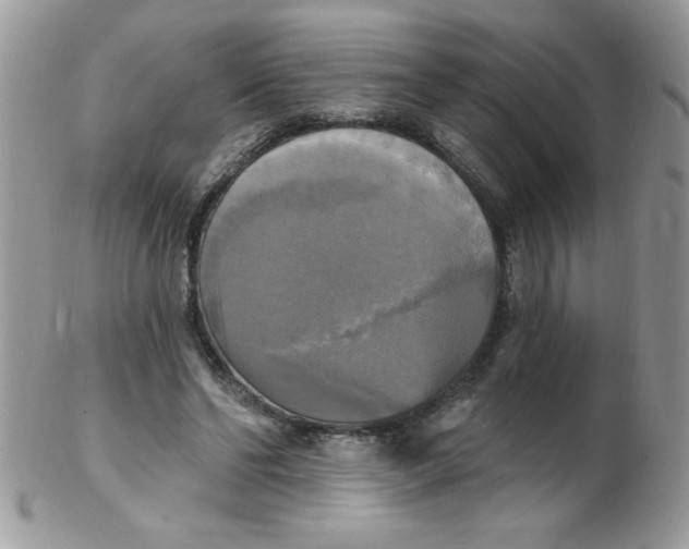 X0000102410494200808221915