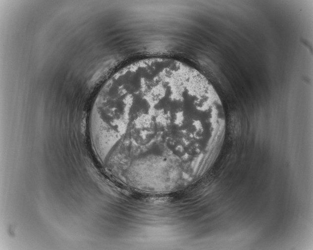 X0000102410495200808221915