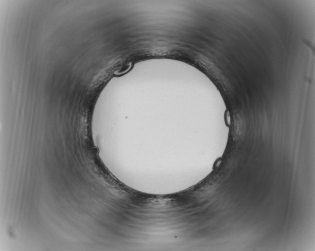 X0000102410497200808221915