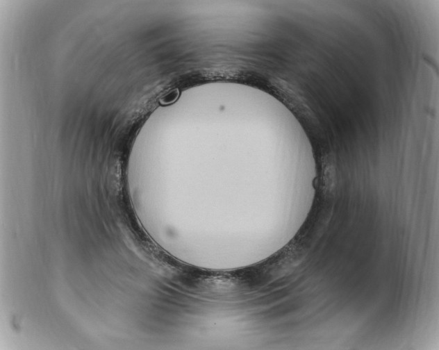 X0000102410498200808221915