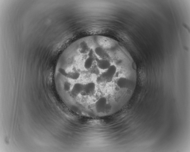 X0000102410499200808221915