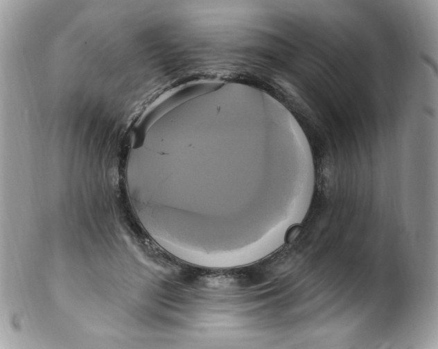 X0000102410500200808221915