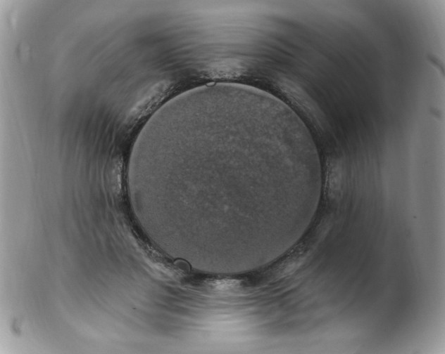 X0000102410501200808221914