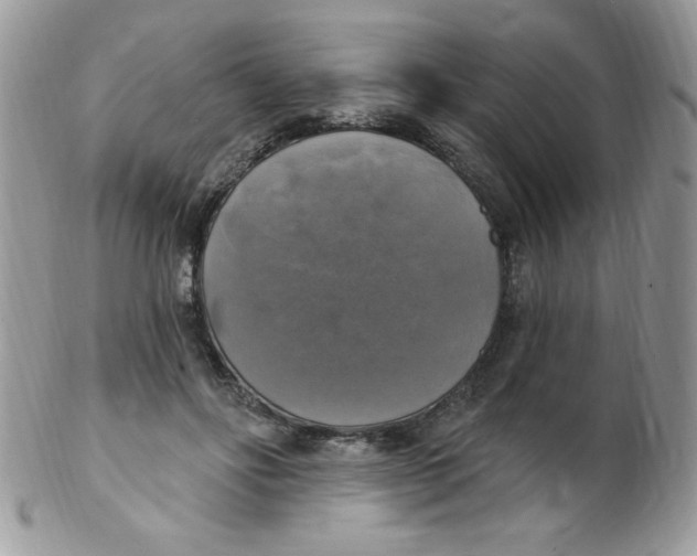 X0000102410502200808221914