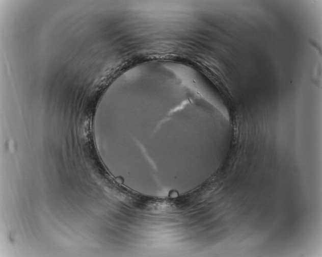 X0000102410503200808221914