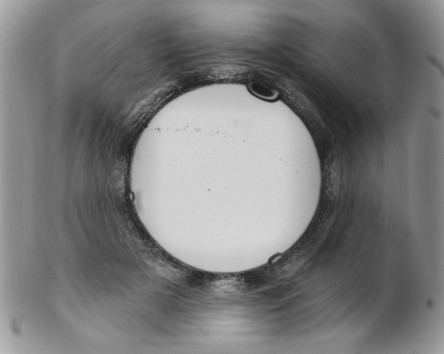 X0000102410505200808221914