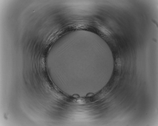 X0000102410506200808221914