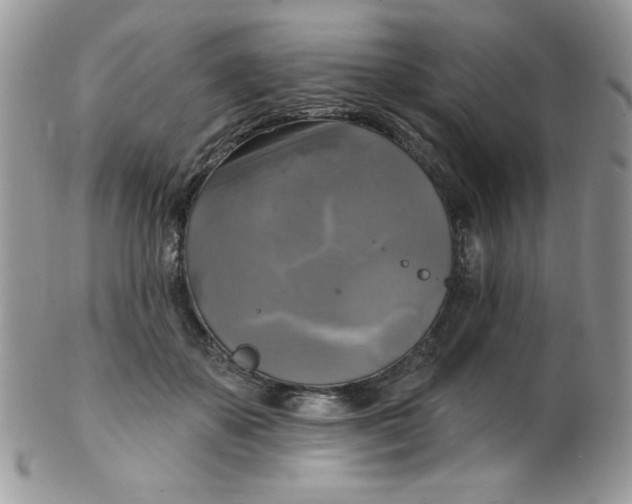 X0000102410507200808221914