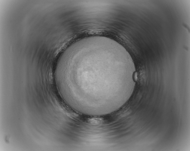 X0000102410508200808221914