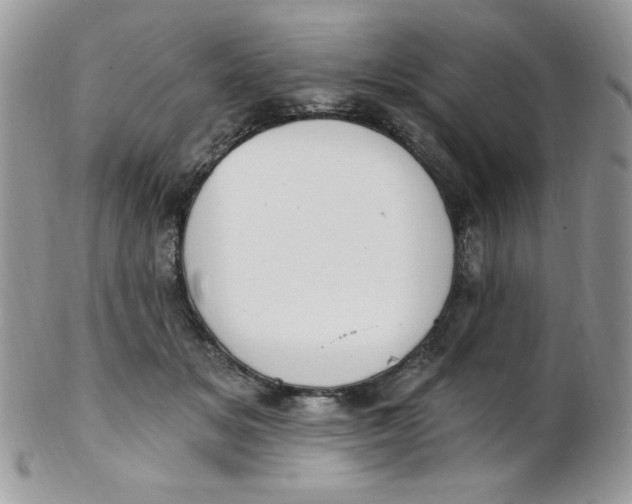 X0000102410509200808221914