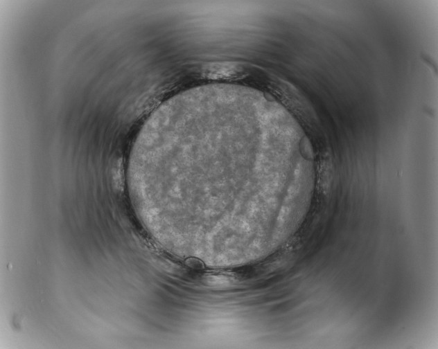 X0000102410510200808221914