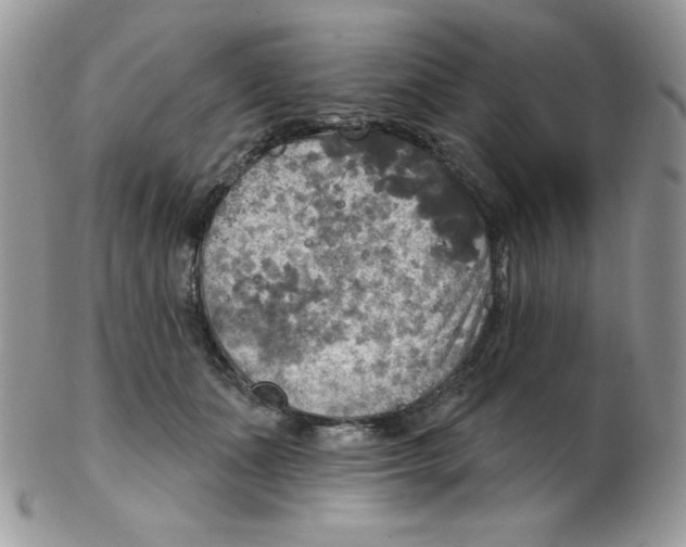 X0000102410511200808221914