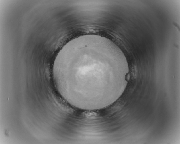 X0000102410512200808221914