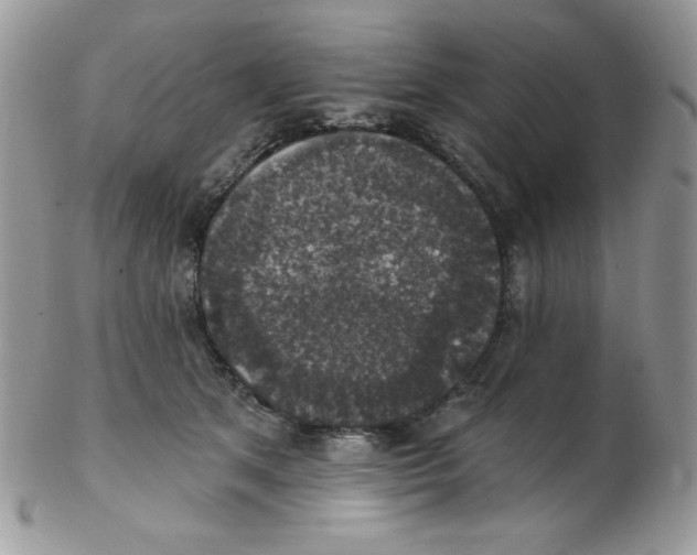 X0000102410513200808221914