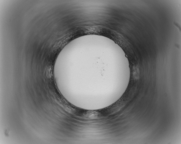 X0000102410514200808221914