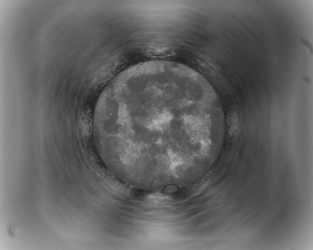 X0000102410515200808221914