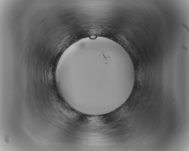 X0000102410516200808221914