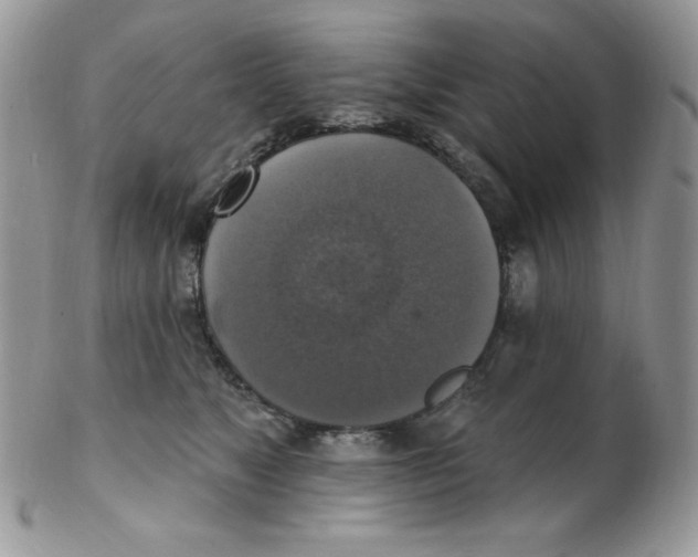 X0000102410517200808221914