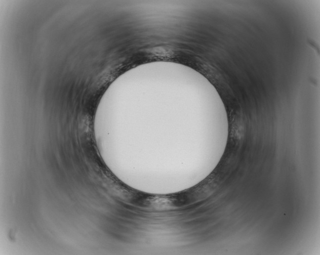 X0000102410518200808221914