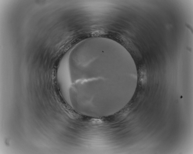 X0000102410519200808221914