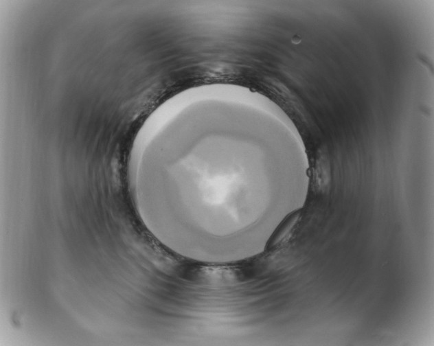 X0000102410520200808221914