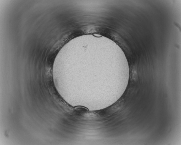 X0000102410521200808221914