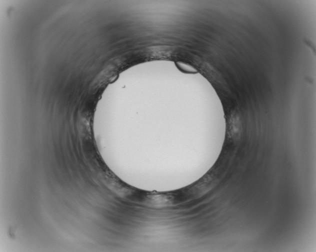 X0000102410522200808221914