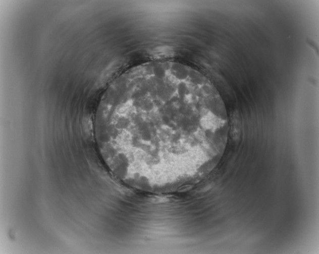 X0000102410523200808221914