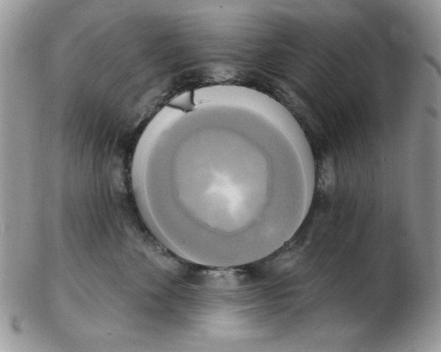 X0000102410524200808221914