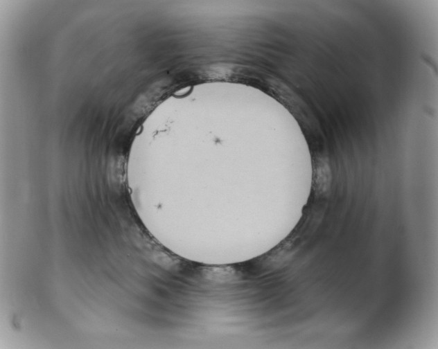 X0000102410525200808221914