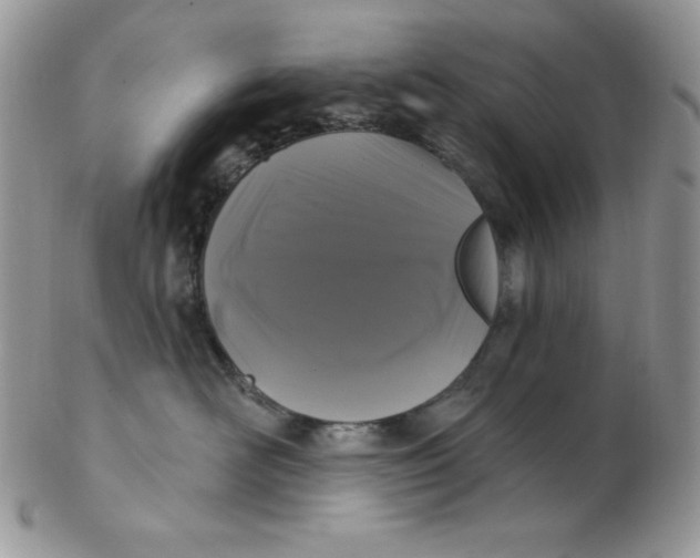 X0000102410526200808221914