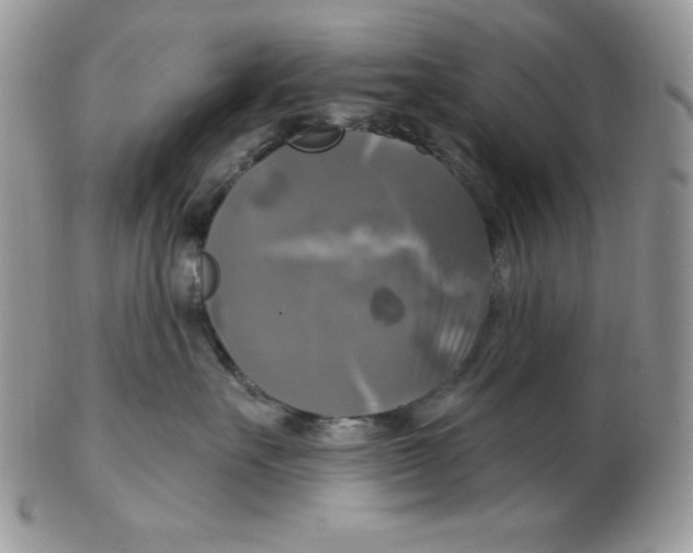 X0000102410527200808221914