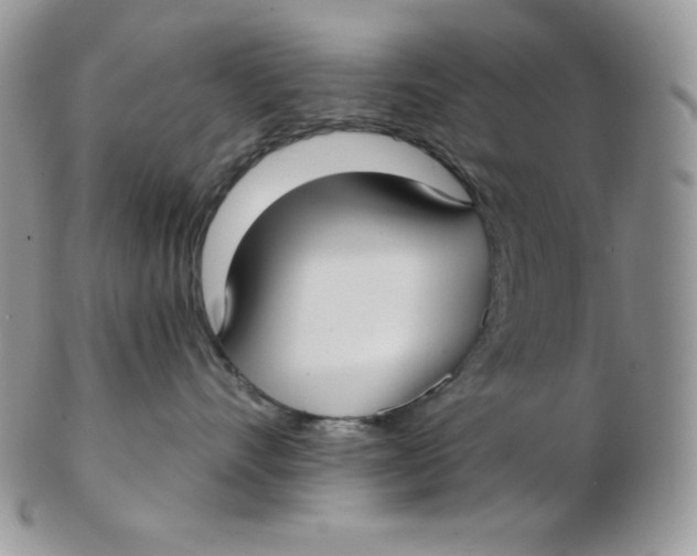 X0000102410528200808221914