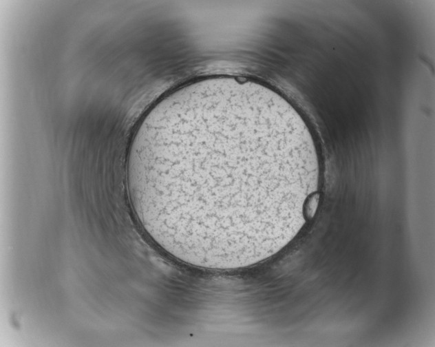 X0000102410529200808221913