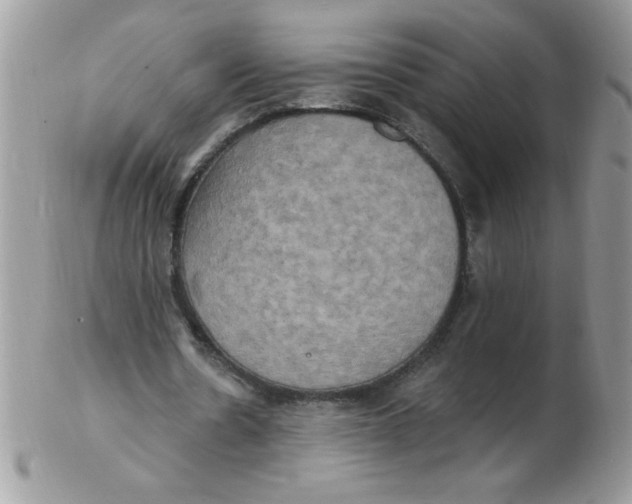 X0000102410530200808221913