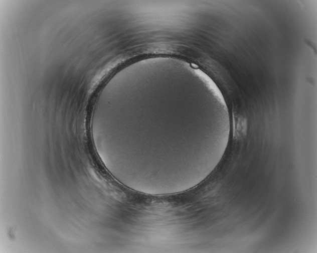 X0000102410531200808221913