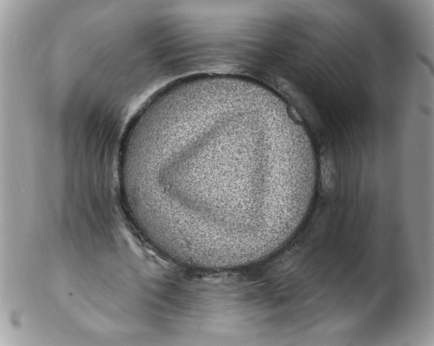 X0000102410532200808221913