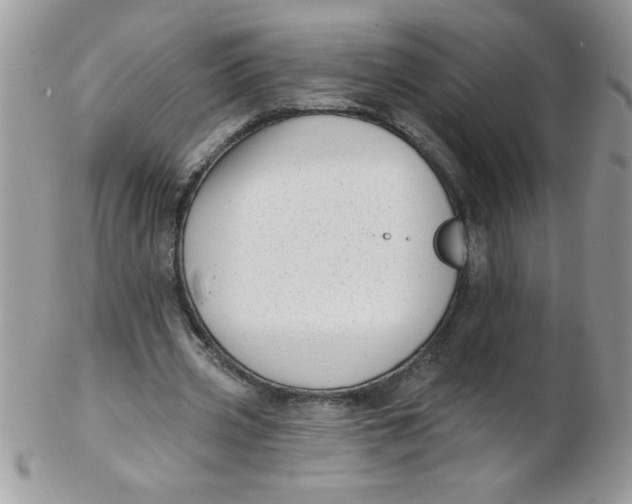 X0000102410533200808221913