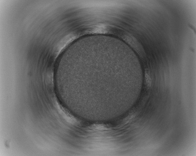 X0000102410534200808221913