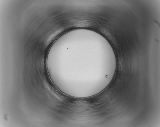 X0000102410535200808221913