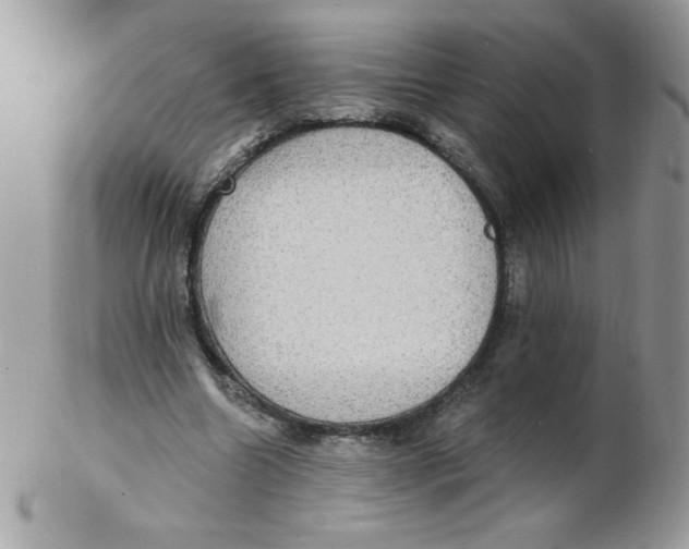 X0000102410538200808221914