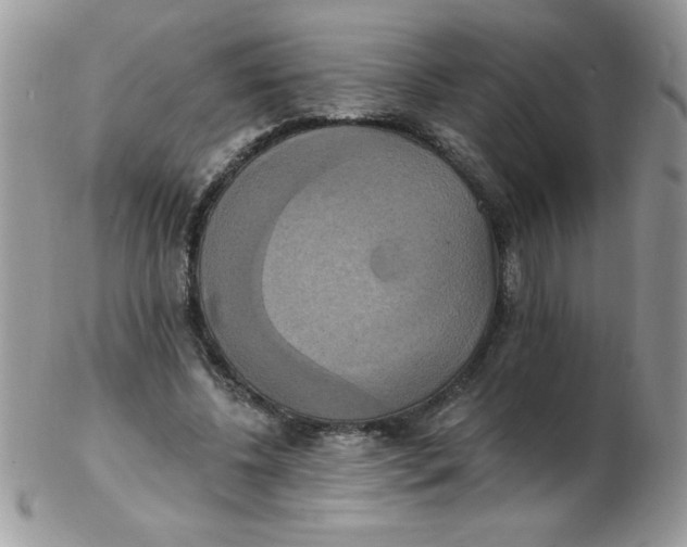 X0000102410540200808221914