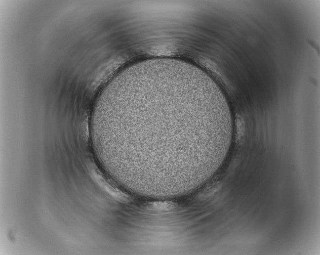 X0000102410541200808221914