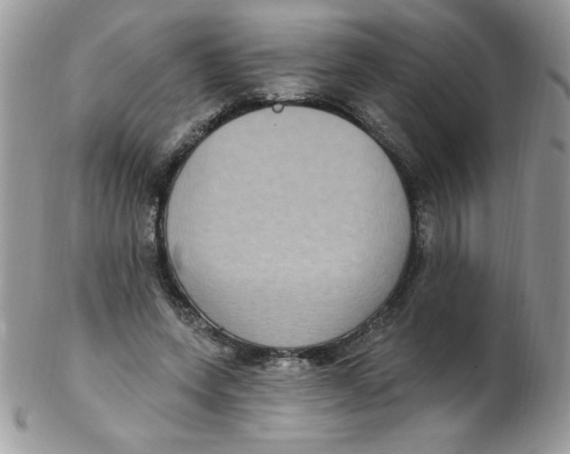 X0000102410543200808221914