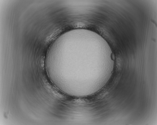 X0000102410545200808221914