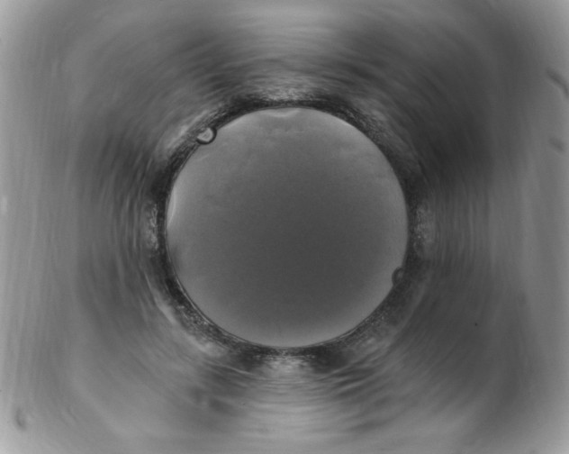 X0000102410547200808221914