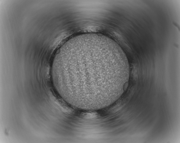 X0000102410548200808221914