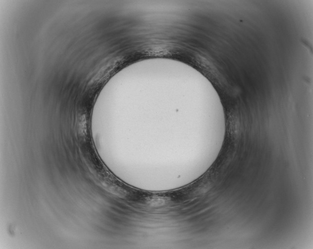 X0000102410549200808221914